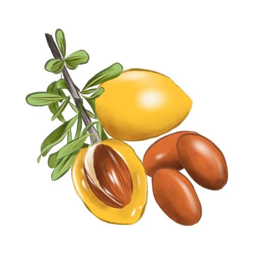 Argan Oil